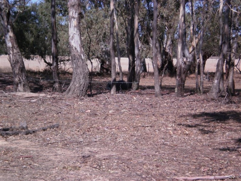 . Stuart Mill-Kooreh Rd, Carapooee VIC 3477