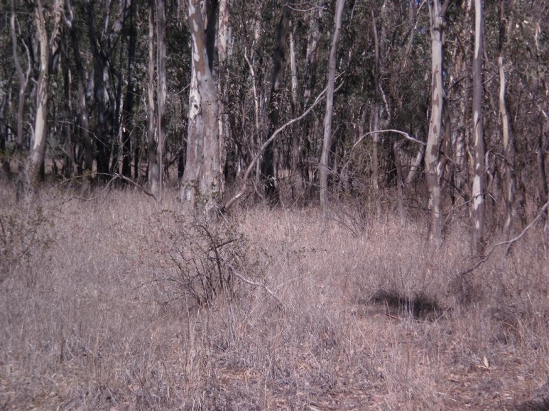 . Stuart Mill-Kooreh Rd, Carapooee VIC 3477