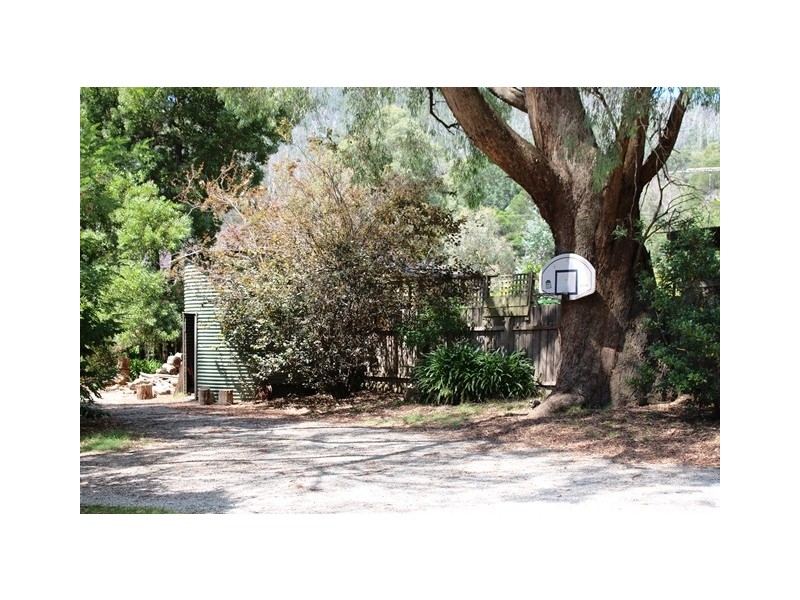 2213 Maroondah Hwy, Buxton VIC 3711