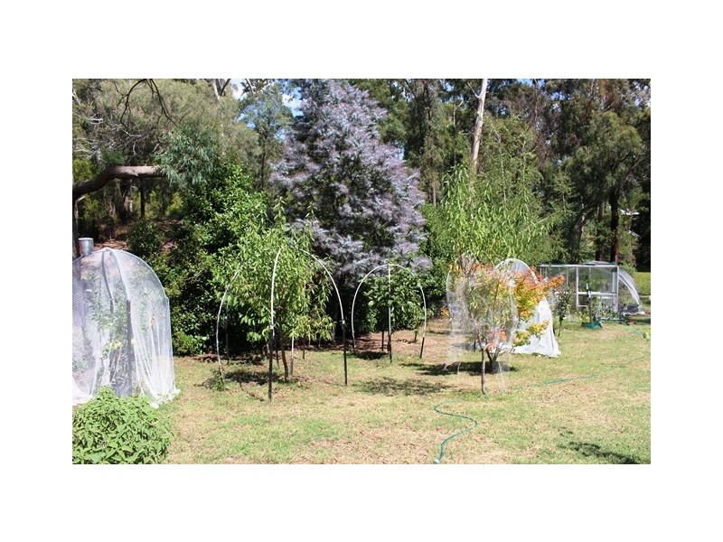 2213 Maroondah Hwy, Buxton VIC 3711