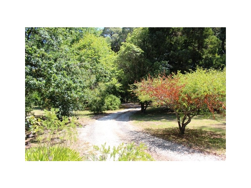 2213 Maroondah Hwy, Buxton VIC 3711