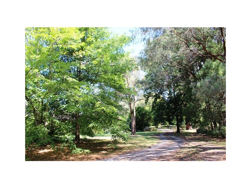 2213 Maroondah Hwy, Buxton VIC 3711