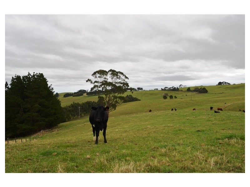 15 Sanders Roads, Korumburra VIC 3950