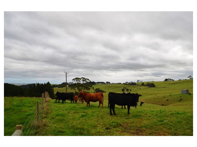 15 Sanders Roads, Korumburra VIC 3950