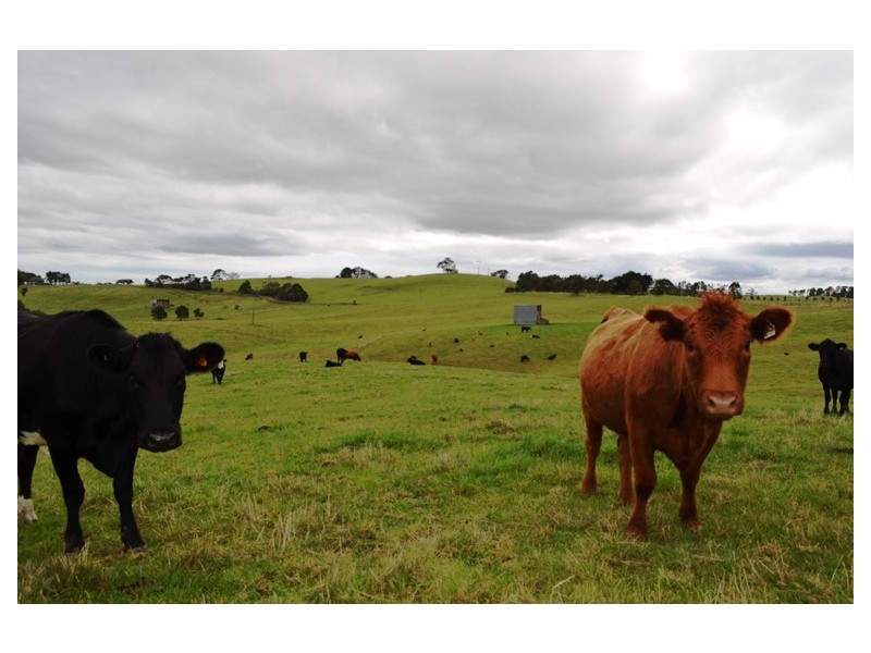 15 Sanders Roads, Korumburra VIC 3950