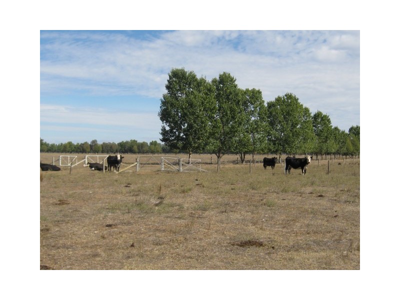 Lot 1/ 230 Terrett Road, Benalla VIC 3672