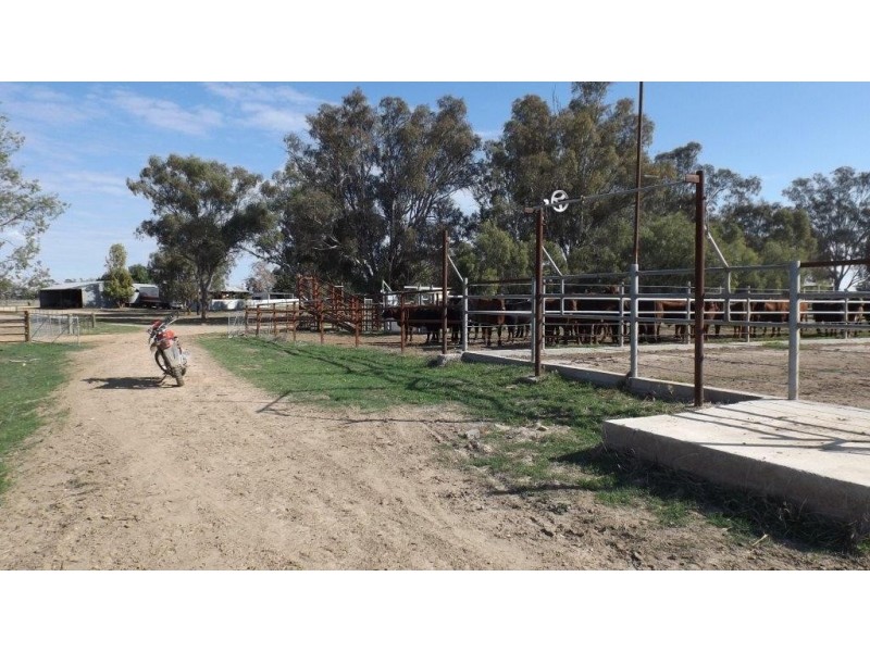 Wakool NSW 2710