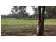 Wakool NSW 2710