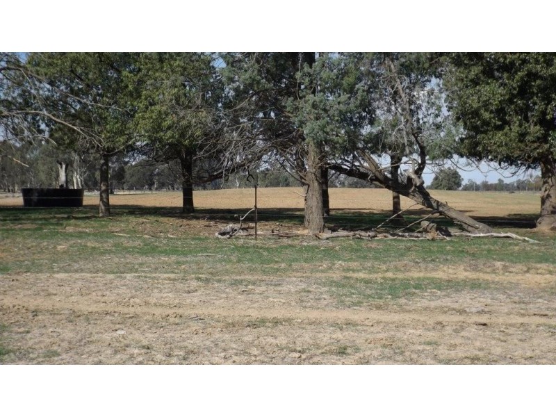 Wakool NSW 2710