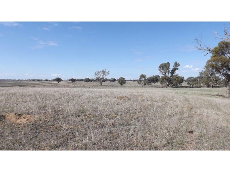 Wakool NSW 2710