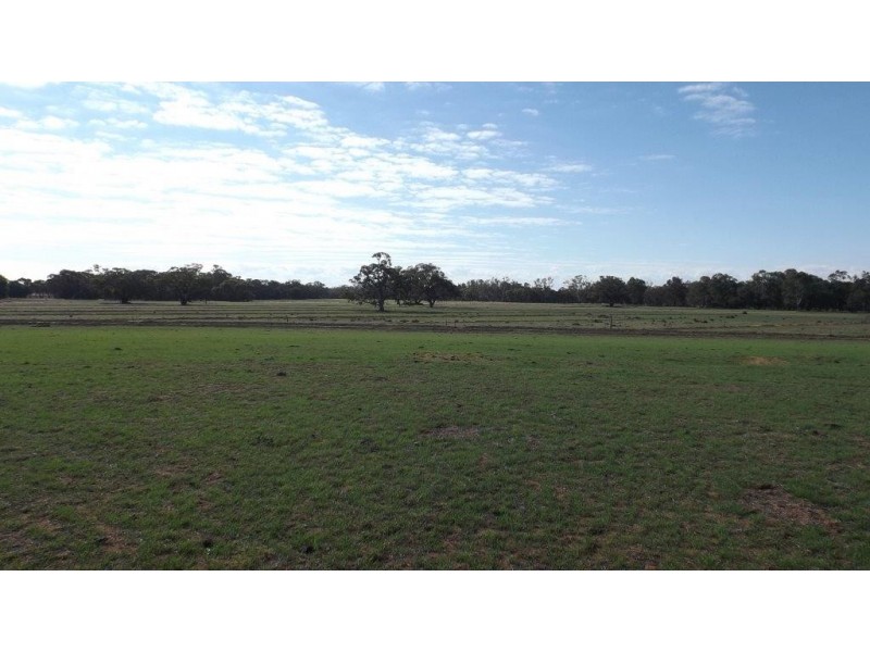 Wakool NSW 2710