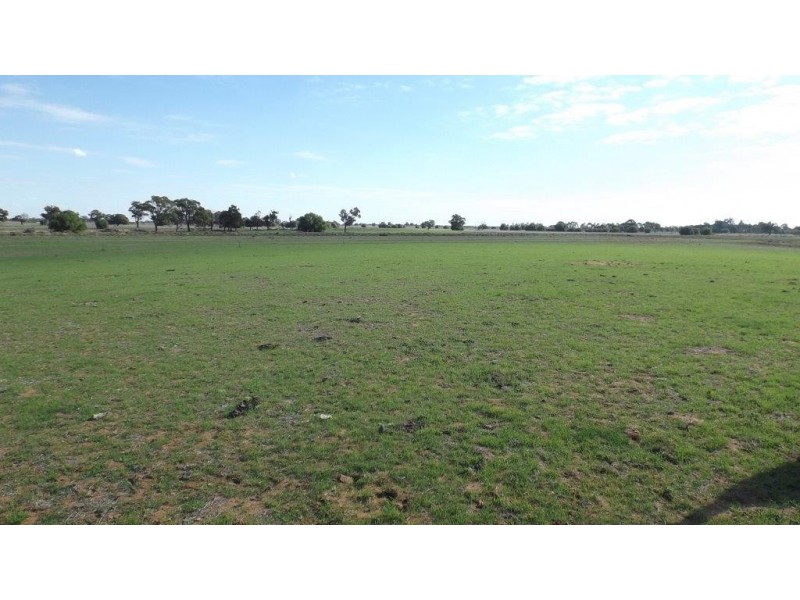 Wakool NSW 2710