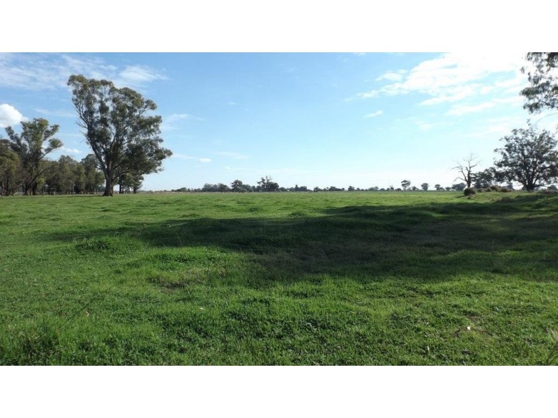 Wakool NSW 2710