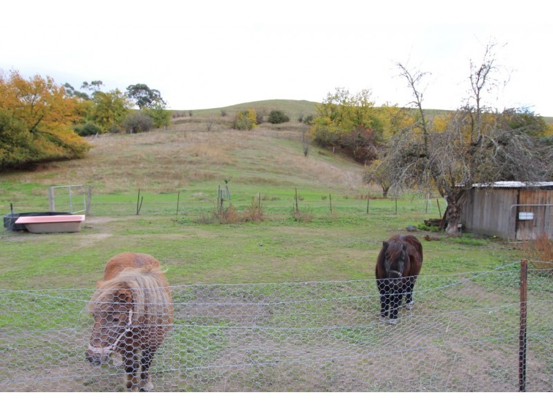 17 Peterkin Street, Alexandra VIC 3714