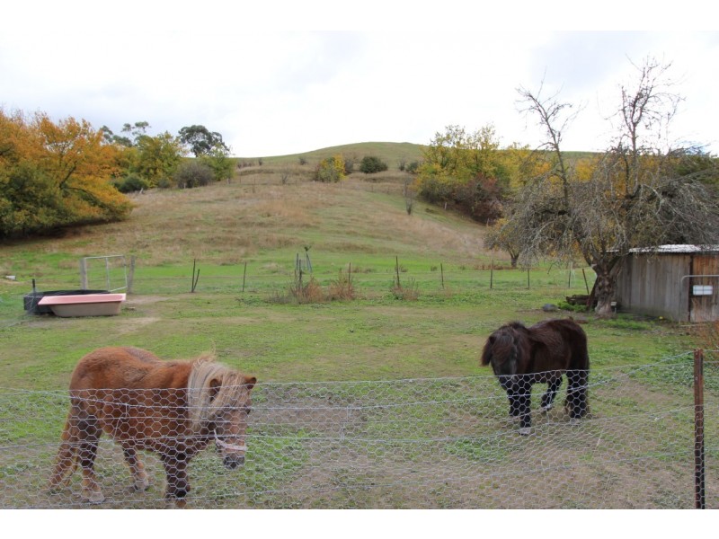 17 Peterkin Street, Alexandra VIC 3714