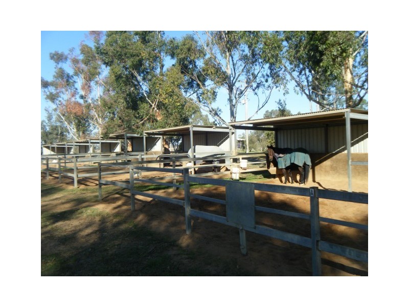 Echuca VIC 3564
