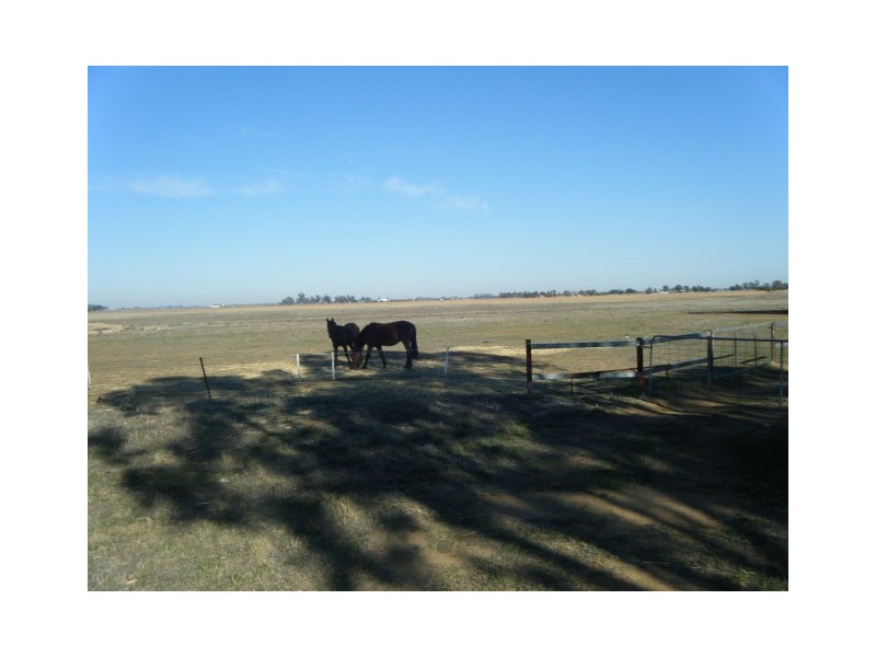 Echuca VIC 3564