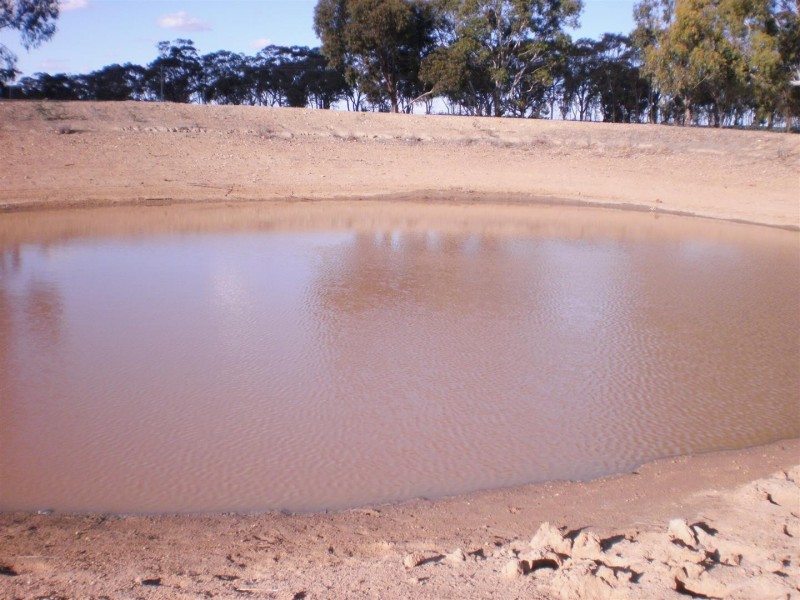 155 Old Wedderburn Rd, St Arnaud VIC 3478