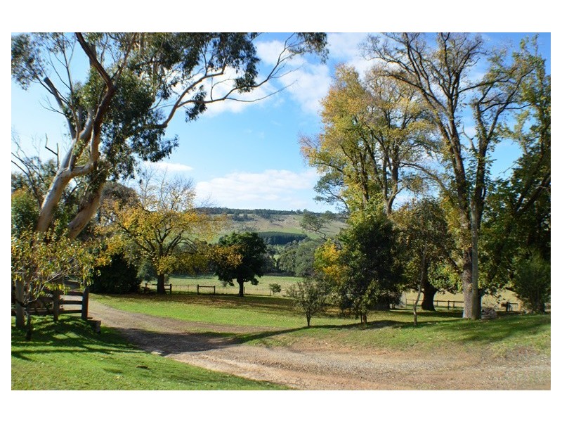 65 Leppitt Road, Melbourne VIC 3000