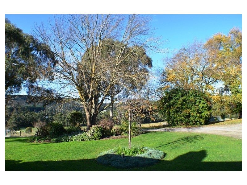 65 Leppitt Road, Melbourne VIC 3000