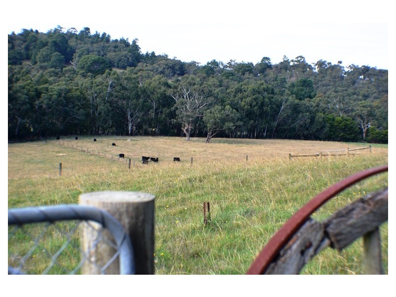 65 Leppitt Road, Melbourne VIC 3000