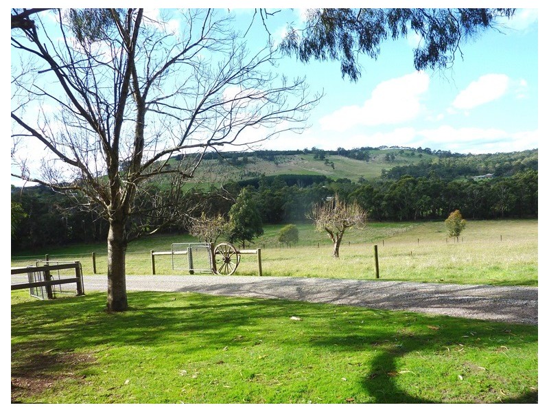 65 Leppitt Road, Melbourne VIC 3000