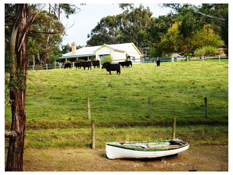 65 Leppitt Road, Melbourne VIC 3000