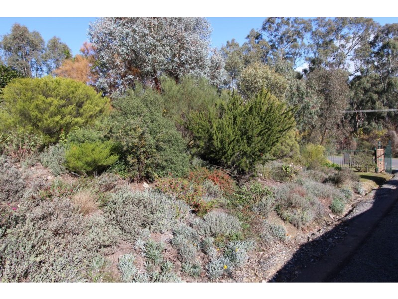 95 Webster Street, Alexandra VIC 3714