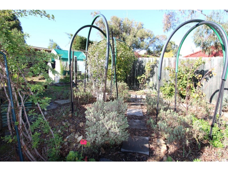 95 Webster Street, Alexandra VIC 3714