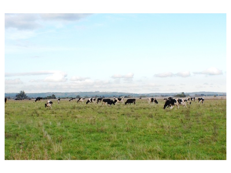 190 and 250 Temby Road, Iona VIC 3815