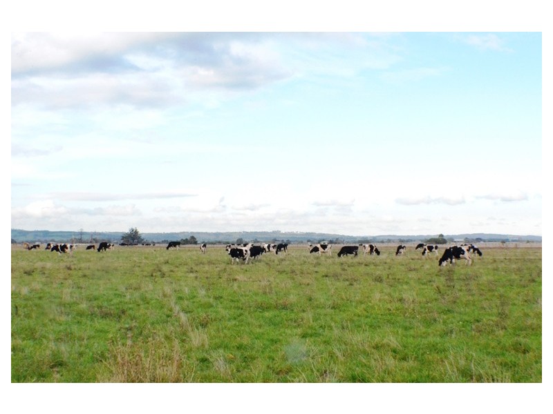 190 and 250 Temby Road, Iona VIC 3815