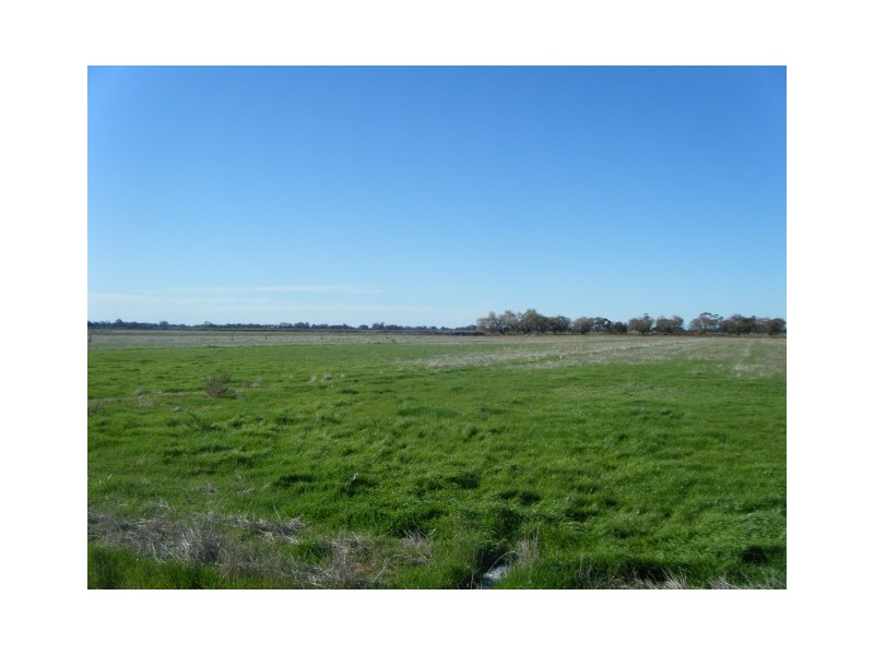196 Beeson Rd, Echuca VIC 3564