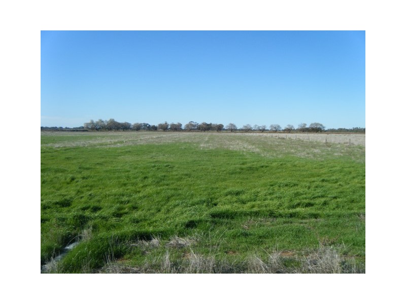 196 Beeson Rd, Echuca VIC 3564