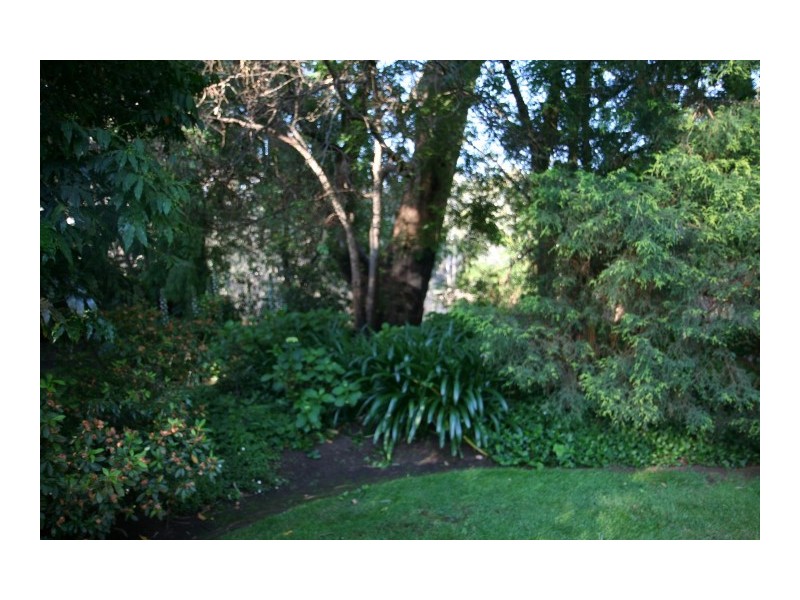 222-224 Wharparilla Drive, Echuca VIC 3564