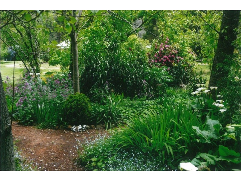 14-16 Warren Rd, Halls Gap VIC 3381
