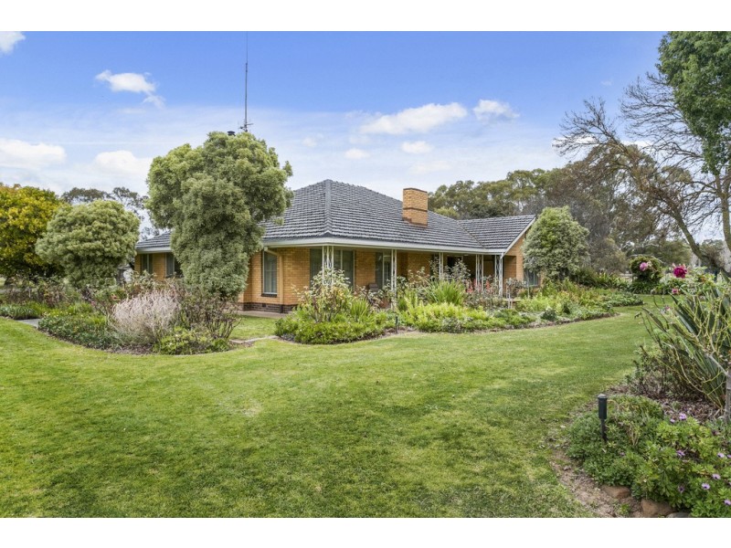 702 Burnewang Road, Elmore VIC 3558