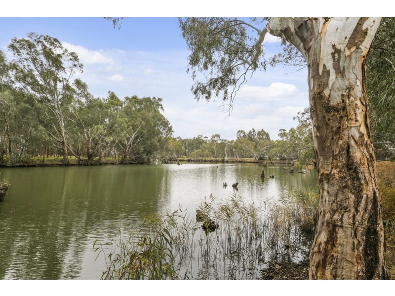 702 Burnewang Road, Elmore VIC 3558