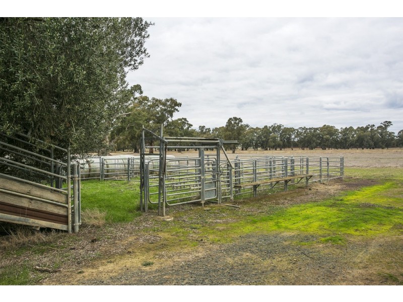 702 Burnewang Road, Elmore VIC 3558