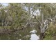 25 CAMPASPE STREET, Elmore VIC 3558