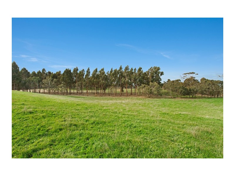 450 Forbes Moranding Road, Willowmavin VIC 3764