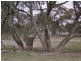 . Wardle Rd, Slaty Creek VIC 3477