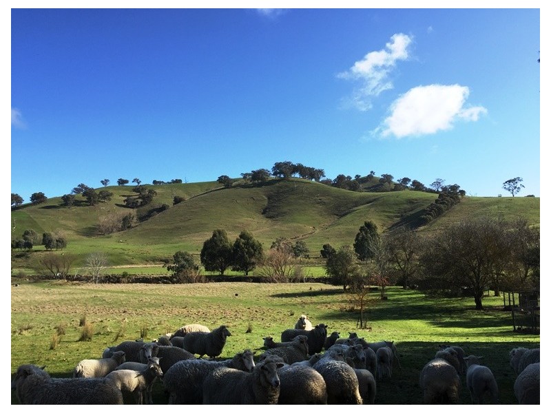 Bonnie Doon VIC 3720