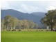 PTA1PPSHBOROKA Blythwood Rd, Halls Gap VIC 3381