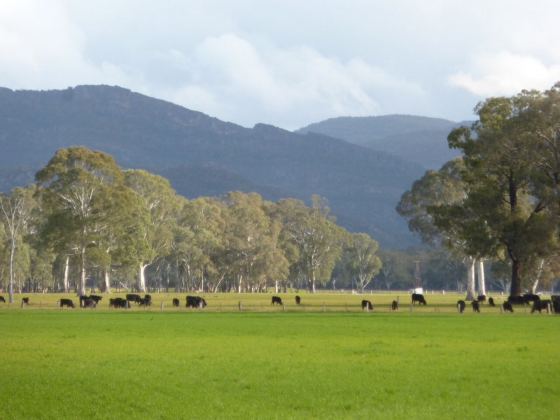 PTA1PPSHBOROKA Blythwood Rd, Halls Gap VIC 3381