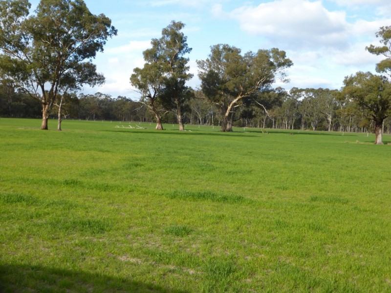 PTA1PPSHBOROKA Blythwood Rd, Halls Gap VIC 3381