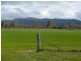 PTA1PPSHBOROKA Blythwood Rd, Halls Gap VIC 3381