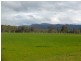 PTA1PPSHBOROKA Blythwood Rd, Halls Gap VIC 3381