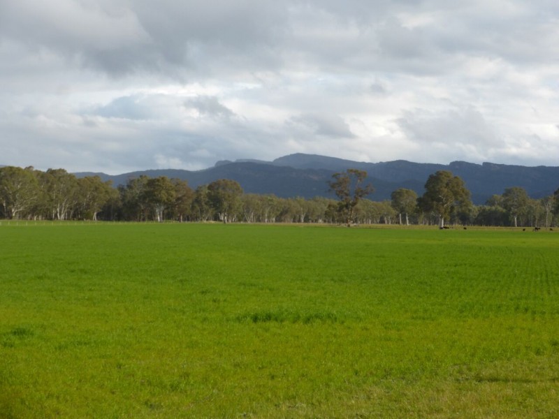 PTA1PPSHBOROKA Blythwood Rd, Halls Gap VIC 3381