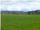 PTA1PPSHBOROKA Blythwood Rd, Halls Gap VIC 3381