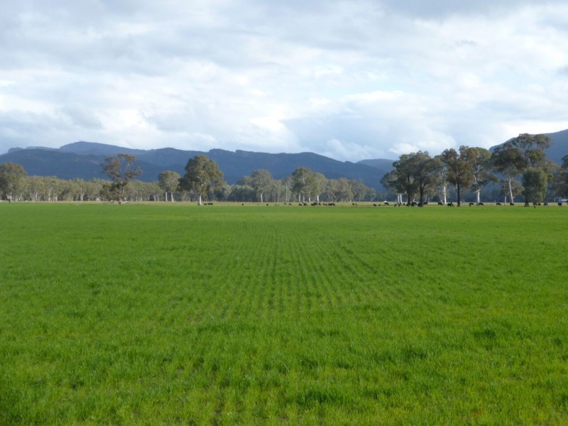 PTA1PPSHBOROKA Blythwood Rd, Halls Gap VIC 3381